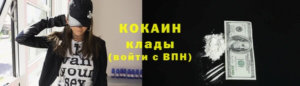 ешки Бронницы