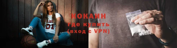 mix Бородино