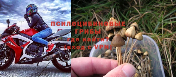 ешки Бронницы