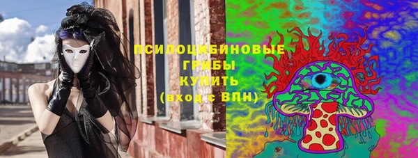 ешки Бронницы