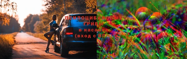 ешки Бронницы